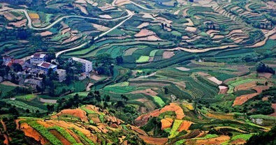 1588258283234984189206890.jpg 1.jpg