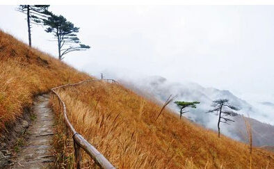 1588258309152726192970346.jpg 2.jpg