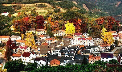 1588258323408276331483342.jpg 3.jpg