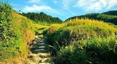 1588258336719037849314460.jpg 4.jpg