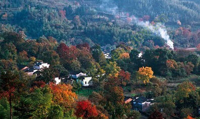 1588258349838013482871890.jpg 5.jpg